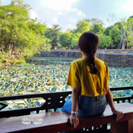 Nhà vườn An Hiên của công chúa Triều Nguyễn có lộng lẫy như lời đồn? Review chi tiết từ A-Z